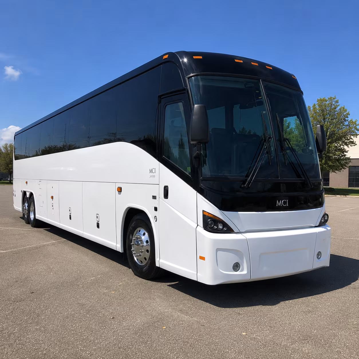 hayward 45 passenger charter bus