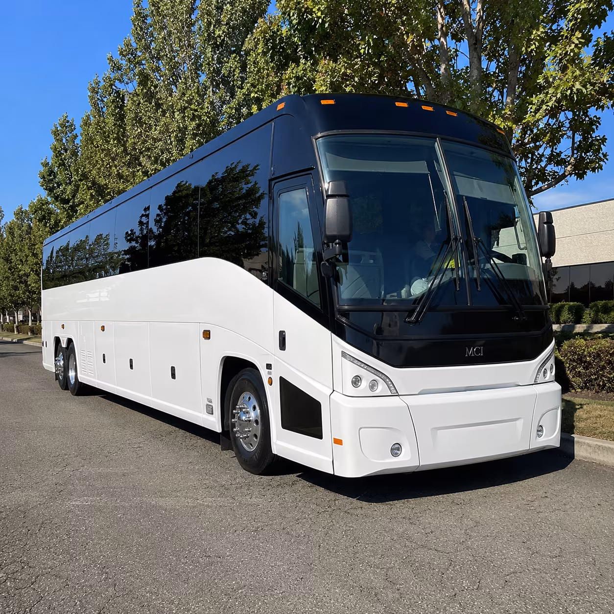 hayward 50 passenger charter bus