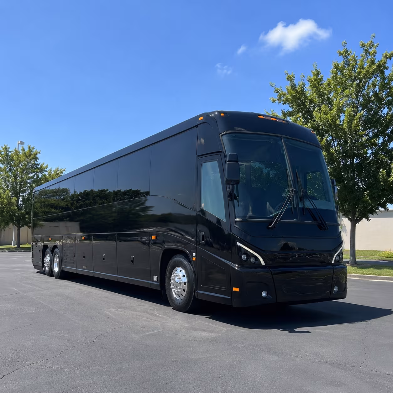 hayward 56 passenger charter bus